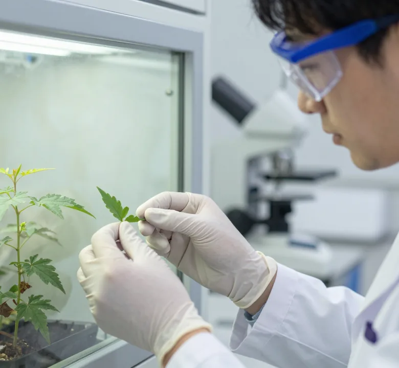 Natural ingredient research for healthcare products